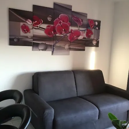 Avec Terrasse Parking Apartment Six-Fours-les-Plages